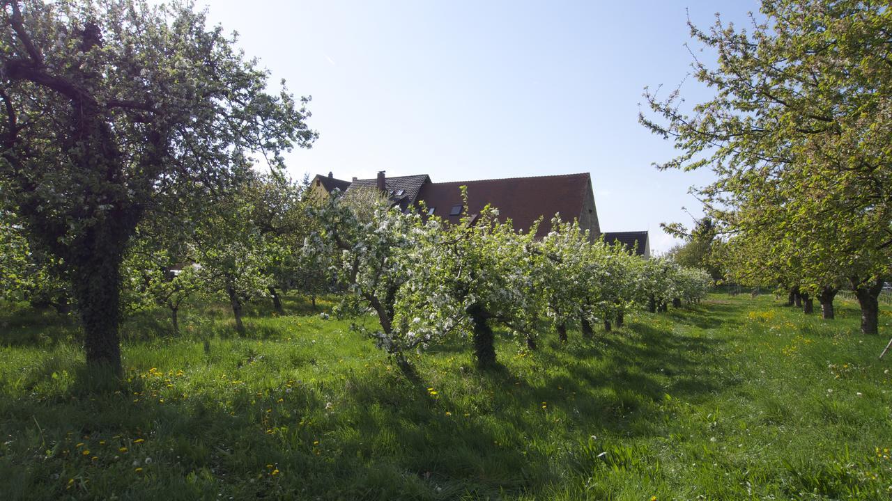 Zum Schwanen Garni Hotel Buggingen Bagian luar foto