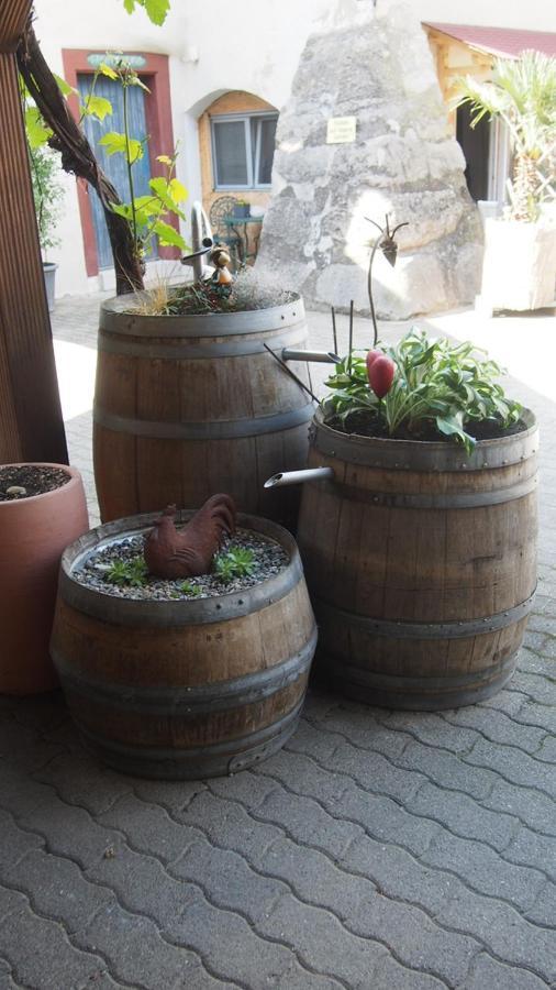 Zum Schwanen Garni Hotel Buggingen Bagian luar foto